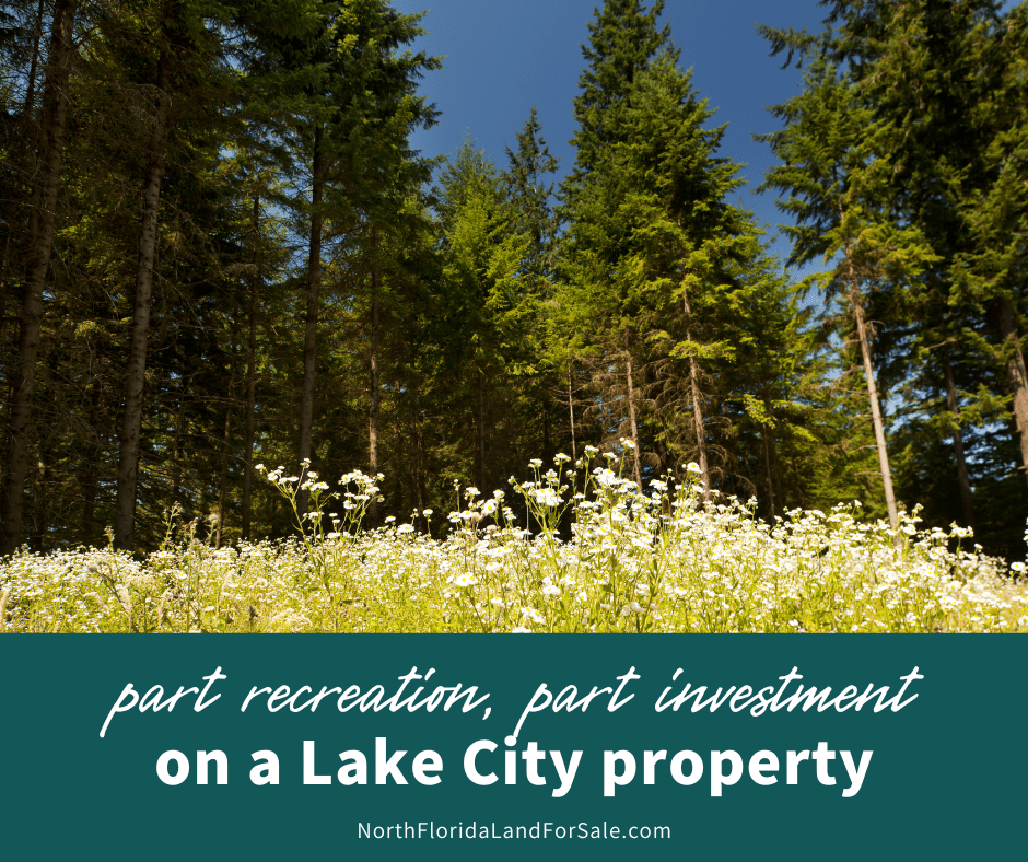 Hybrid Strategy - Part Recreation, Part Investment in Lake City Tracts