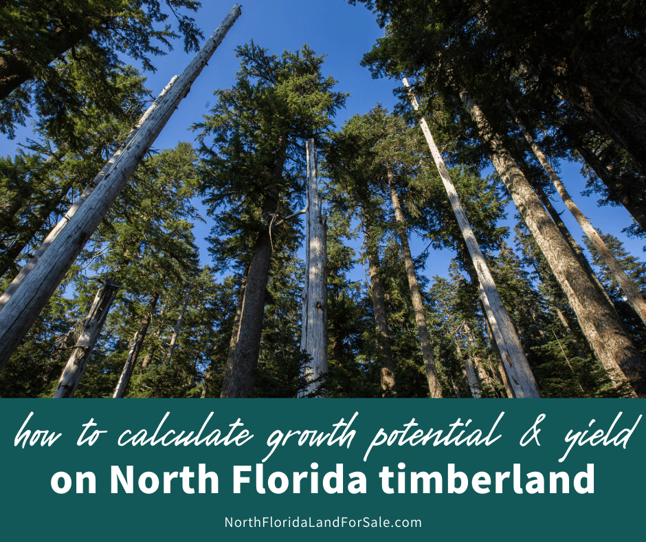 North Florida Timberland - How to Calculate Growth Potential and Yield
