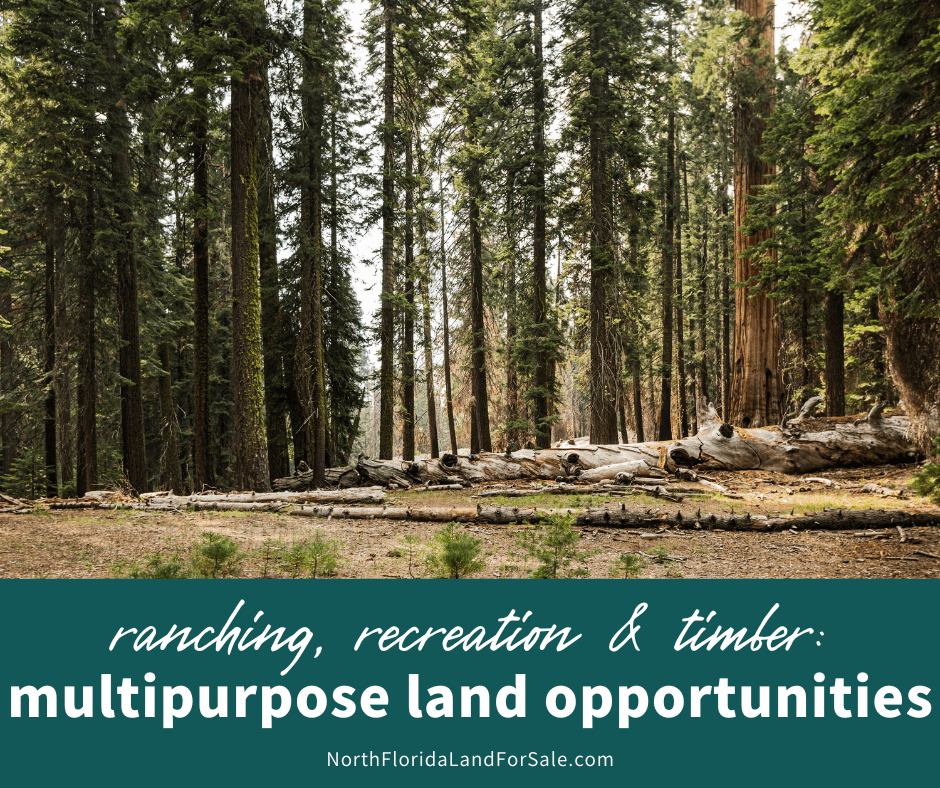 Ranching, Recreation, Timber - Multi-Purpose Land Opportunities in Lake City