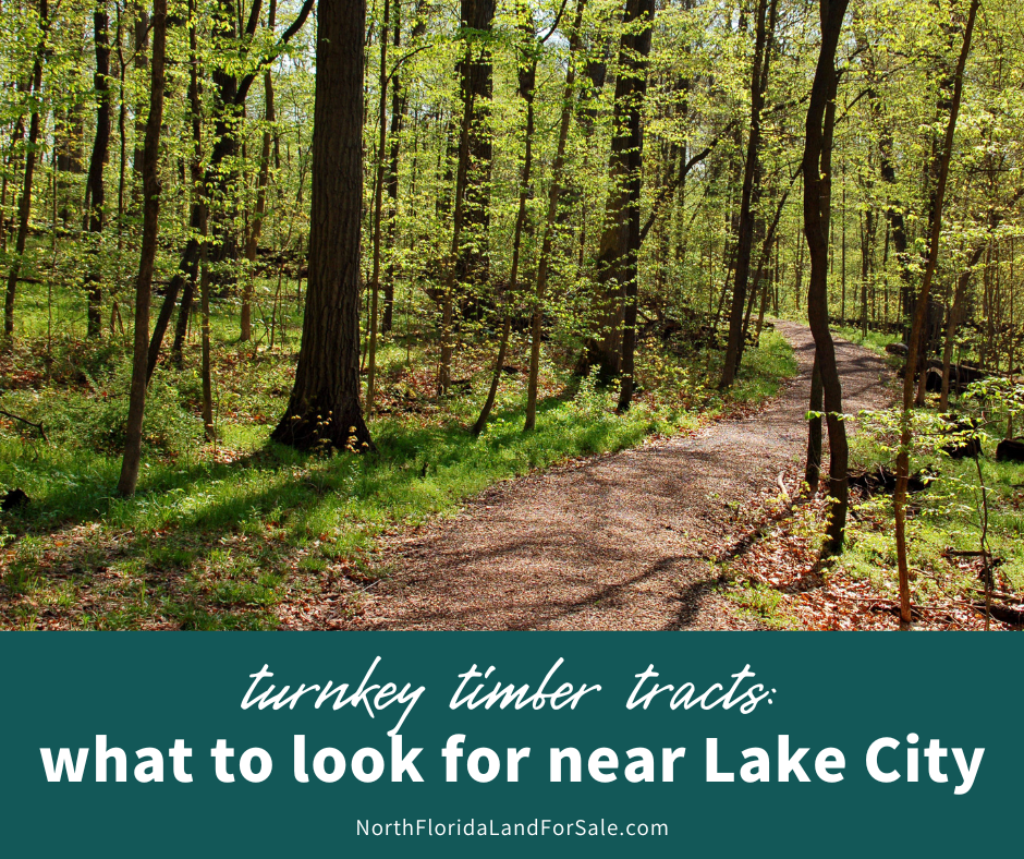 Timber Turnkey Tracts - What to Look for North of Lake City