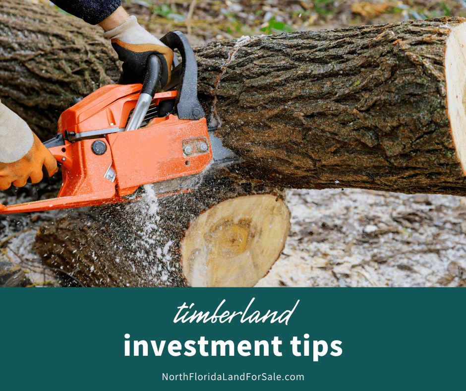 Timberland Investment Tips