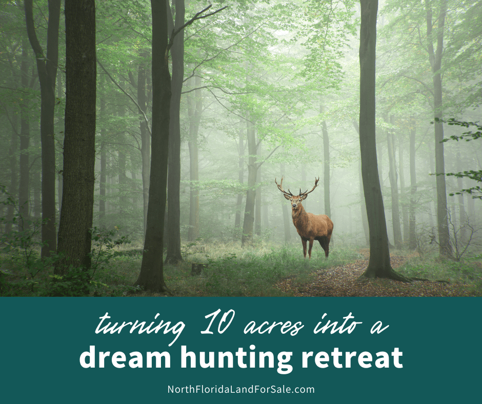 Turning 10 Acres in Lake City Into a Dream Hunting Creek Retreat